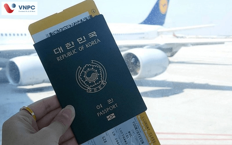 Visa D41